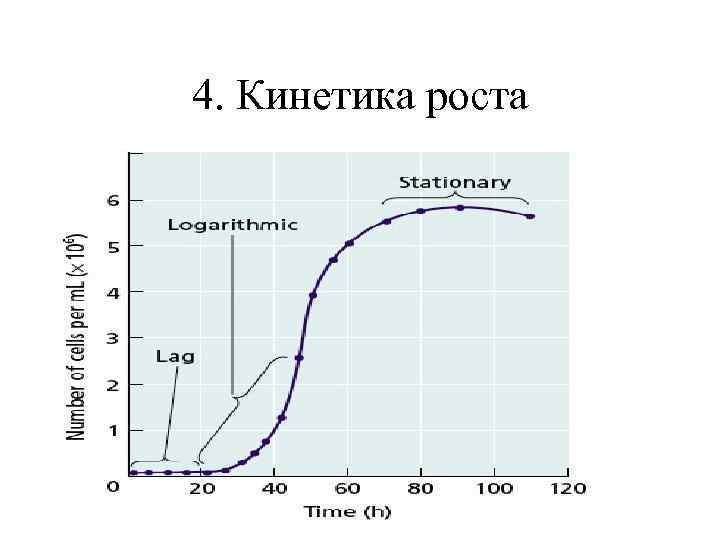 4. Кинетика роста 