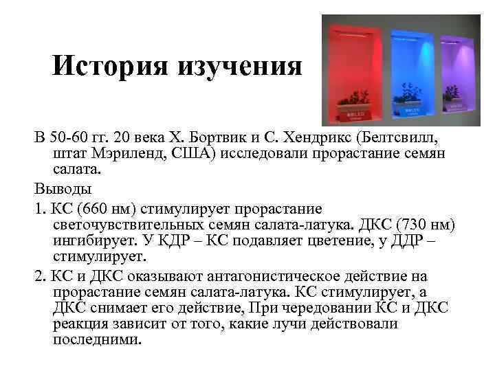 История изучения В 50 -60 гг. 20 века Х. Бортвик и С. Хендрикс (Белтсвилл,