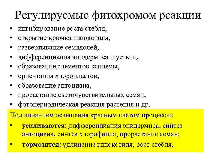 Регулируемые фитохромом реакции • ингибирование роста стебля, • открытие крючка гипокотиля, • развертывание семядолей,