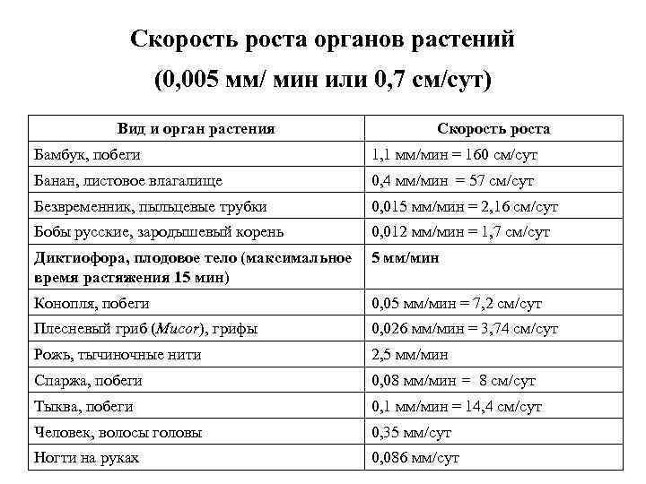 Скорость роста органов растений (0, 005 мм/ мин или 0, 7 см/сут) Вид и