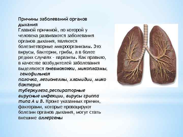 Причины заболеваний органов дыхания Главной причиной, по которой у человека развиваются заболевания органов дыхания,