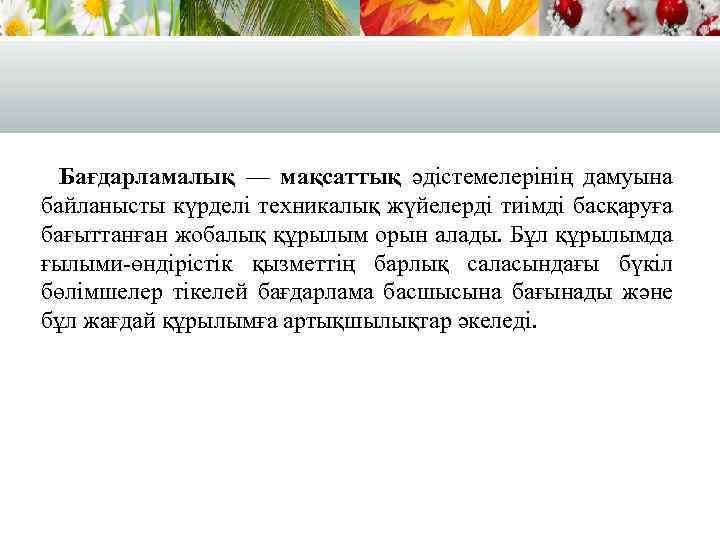 Бағдарламалық — мақсаттық әдістемелерінің дамуына байланысты күрделі техникалық жүйелерді тиімді басқаруға бағыттанған жобалық құрылым