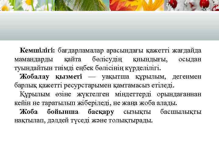 Кемшілігі: бағдарламалар арасындағы қажетті жағдайда мамандарды қайта бөлісудің қиындығы, осыдан туындайтын тиімді еңбек бөлісінің