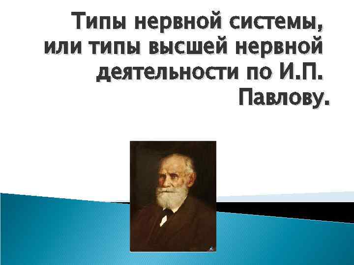 Типы нервной системы, или типы высшей нервной деятельности по И. П. Павлову. 