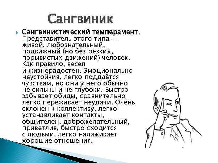 Сангвиник Сангвинистический темперамент. Представитель этого типа — живой, любознательный, подвижный (но без резких, порывистых