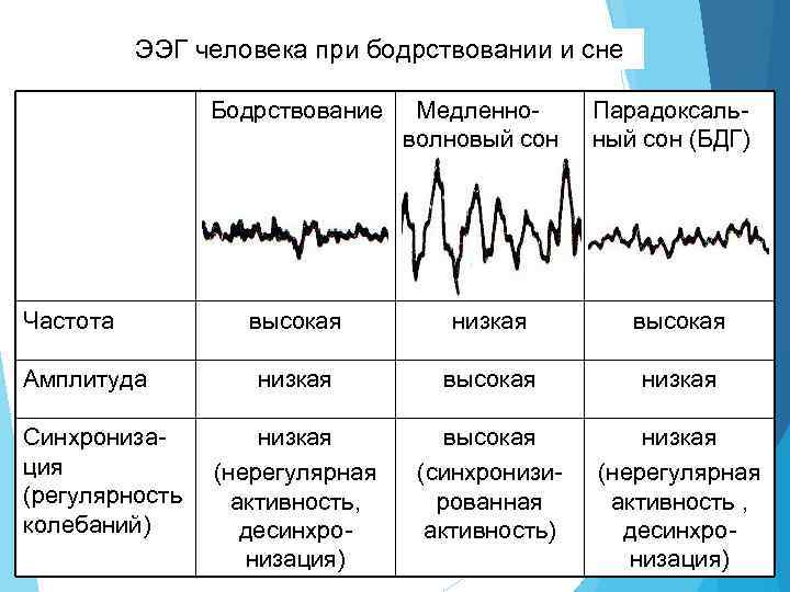 Гипноз сон или бодрствование презентация