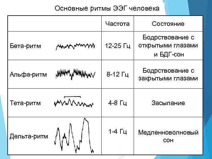 Ээг бодрствования. Основные ритмы ЭЭГ физиология. Составить таблицу основных ритмов ЭЭГ. Частота ритмов ЭЭГ. Ритмы ЭЭГ И их частота.
