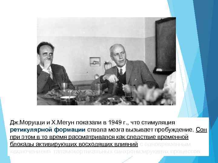 Дж. Моруцци и Х. Мегун показали в 1949 г. , что стимуляция ретикулярной формации
