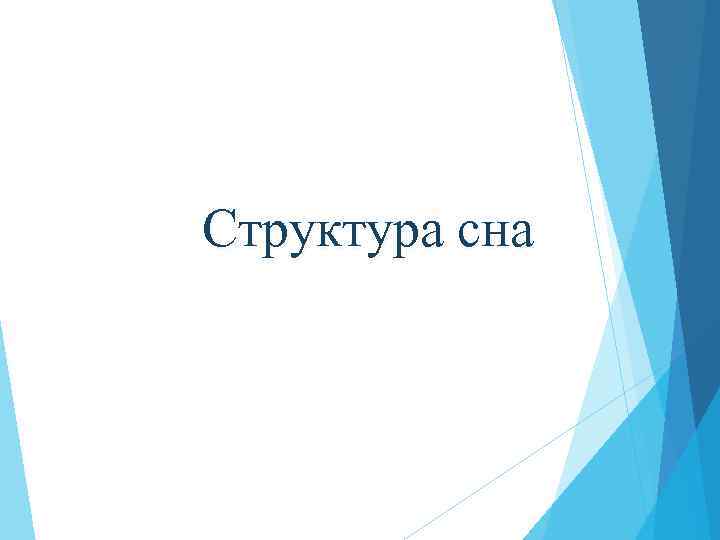 Структура сна 