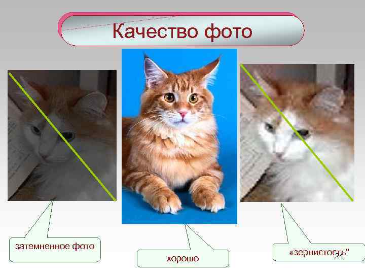 Качество фото затемненное фото хорошо «зернистость" 24 