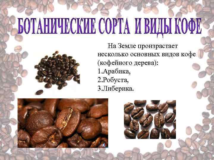 На Земле произрастает несколько основных видов кофе (кофейного дерева): 1. Арабика, 2. Робуста, 3.