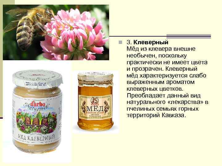 Мед из плюща польза фото и описание