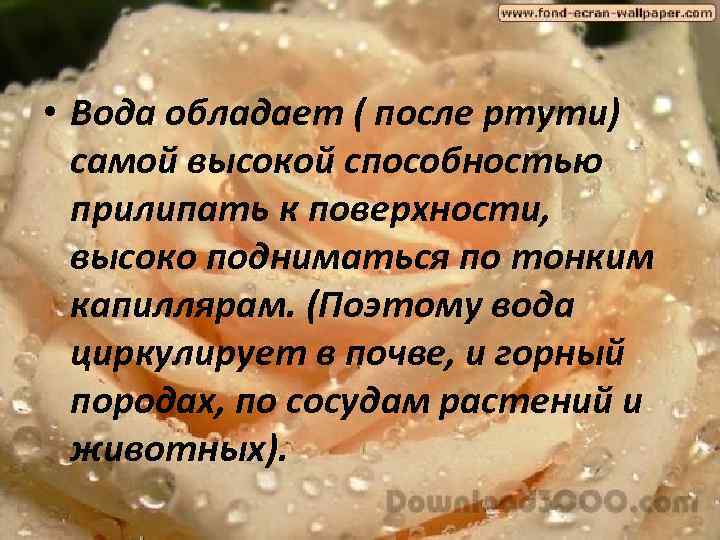  • Вода обладает ( после ртути) самой высокой способностью прилипать к поверхности, высоко