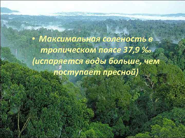  • Максимальная соленость в тропическом поясе 37, 9 ‰ (испаряется воды больше, чем