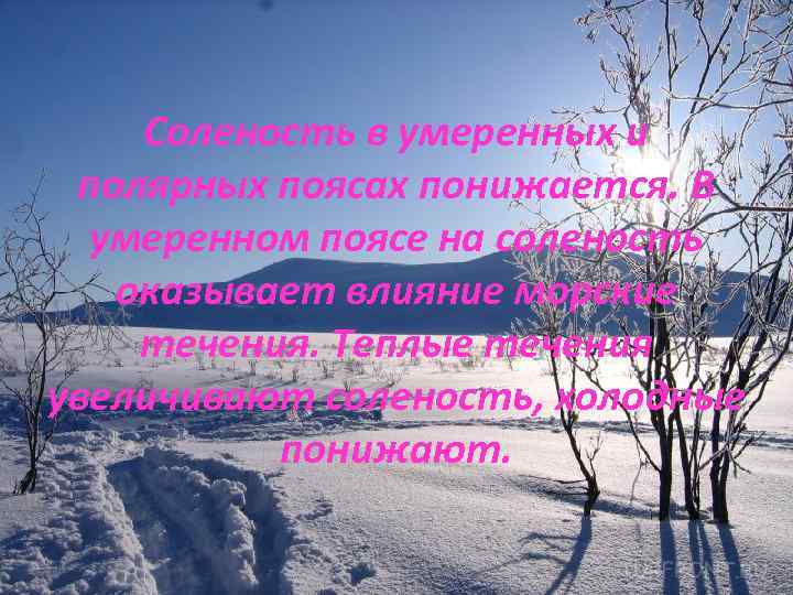 Соленость в умеренных и полярных поясах понижается. В умеренном поясе на соленость оказывает влияние