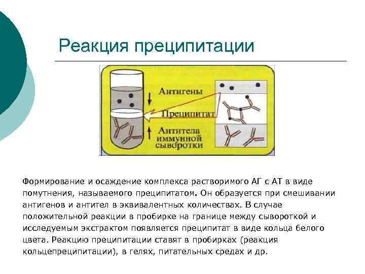 Реакция преципитации ¡ Формирование и осаждение комплекса растворимого АГ с АТ в виде помутнения,