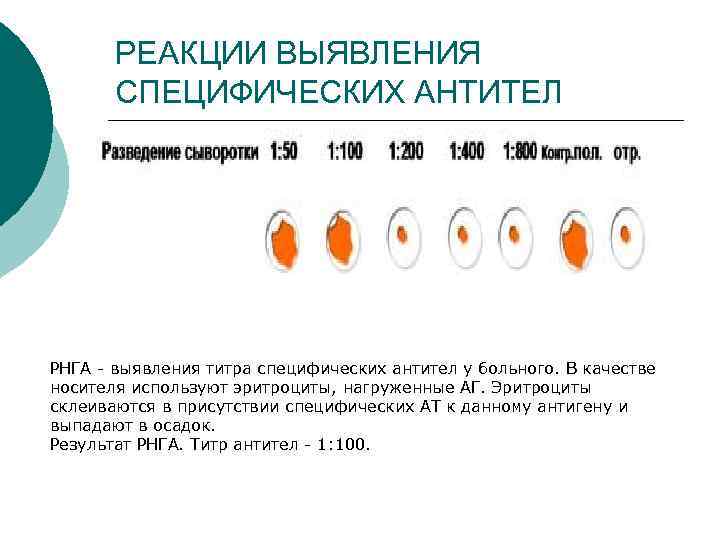 РЕАКЦИИ ВЫЯВЛЕНИЯ СПЕЦИФИЧЕСКИХ АНТИТЕЛ РНГА выявления титра специфических антител у больного. В качестве носителя