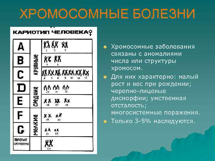 ХРОМОСОМНЫЕ БОЛЕЗНИ u u u Хромосомные заболевания связаны с аномалиями числа или структуры хромосом.