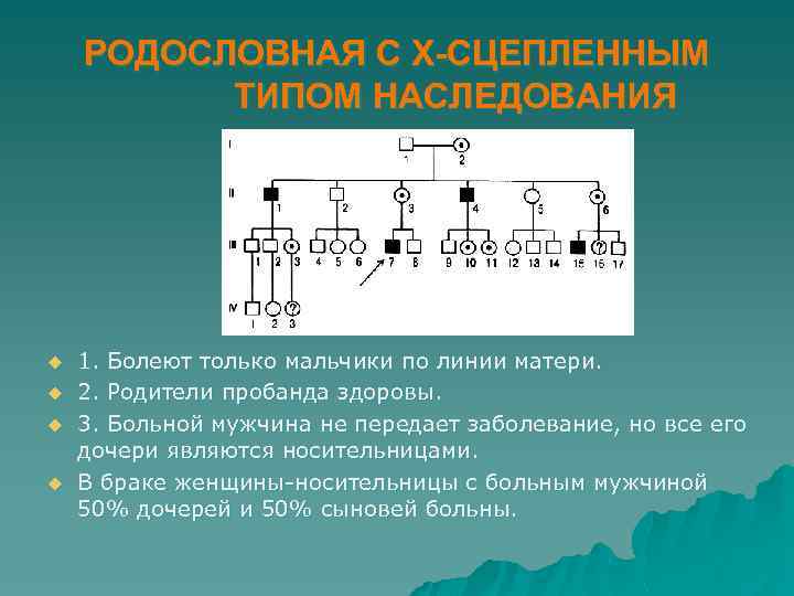 РОДОСЛОВНАЯ С Х-СЦЕПЛЕННЫМ ТИПОМ НАСЛЕДОВАНИЯ u u 1. Болеют только мальчики по линии матери.