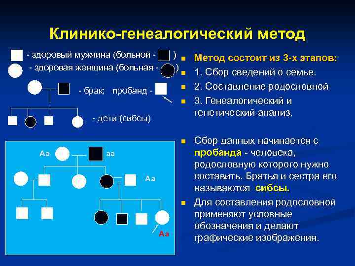 Клинико-генеалогический метод - здоровый мужчина (больной - здоровая женщина (больная - ) n Метод