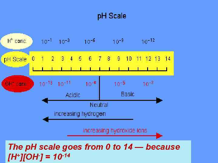  The p. H scale goes from 0 to 14 — because [H+][OH-] =