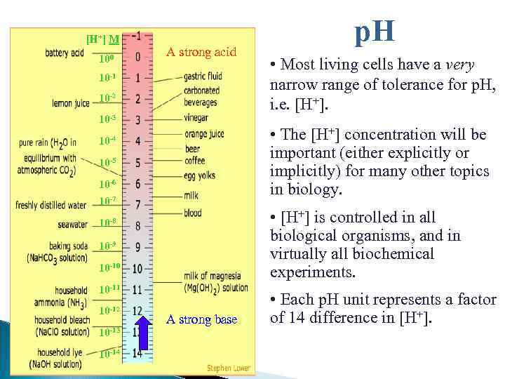 [H+] M 100 A strong acid 10 -1 10 -2 10 -3 10 -5
