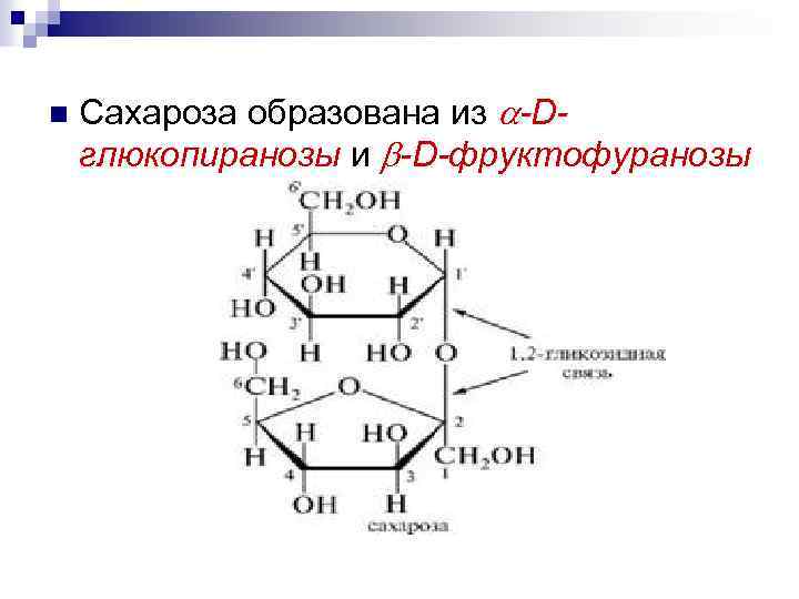 n Сахароза образована из -Dглюкопиранозы и -D-фруктофуранозы 