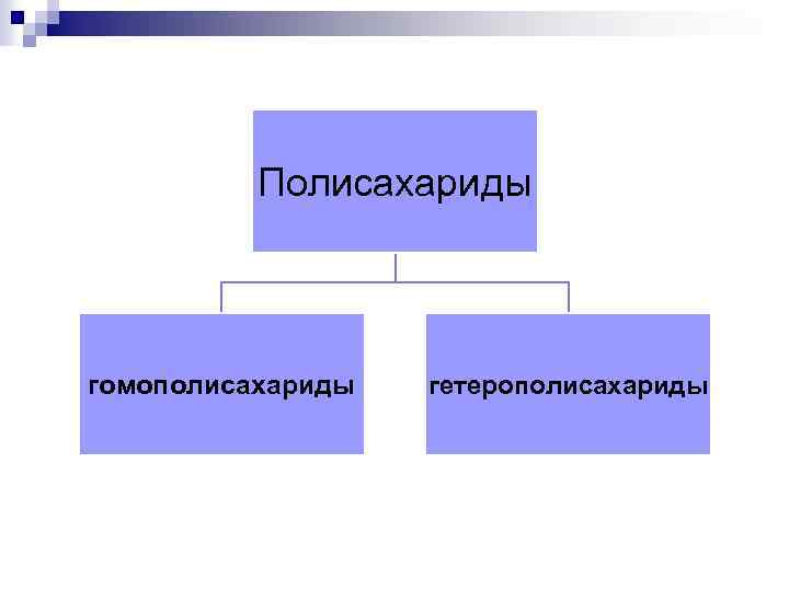 Полисахариды гомополисахариды гетерополисахариды 