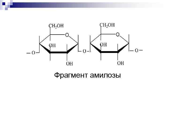 Фрагмент амилозы 