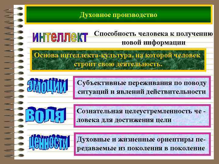 Духовное производство Способность человека к получению новой информации Основа интеллекта-культура, на которой человек строит