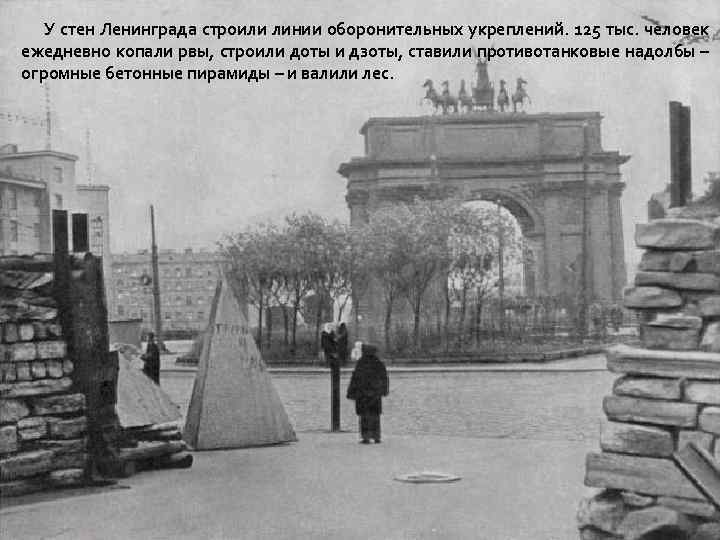 У стен Ленинграда строили линии оборонительных укреплений. 125 тыс. человек ежедневно копали рвы, строили