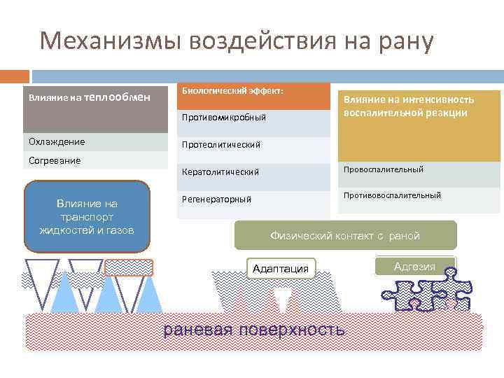Механизмы воздействия на рану Влияние на теплообмен Биологический эффект: Противомикробный Охлаждение Согревание Влияние на