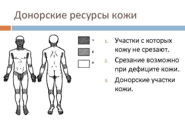 Донорские ресурсы кожи 1. 2. 3. Участки с которых кожу не срезают. Срезание возможно