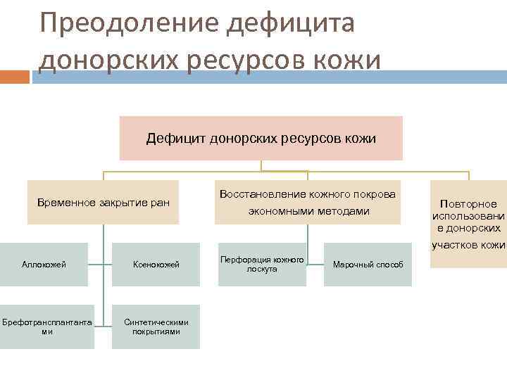 Преодоление дефицита донорских ресурсов кожи Дефицит донорских ресурсов кожи Временное закрытие ран Аллокожей Брефотрансплантанта