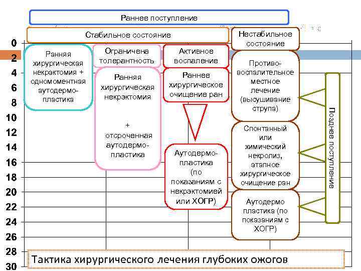 Раннее поступление Стабильное состояние Ранняя хирургическая некрэктомия + одномоментная аутодермопластика Ограничена толерантность Активное воспаление