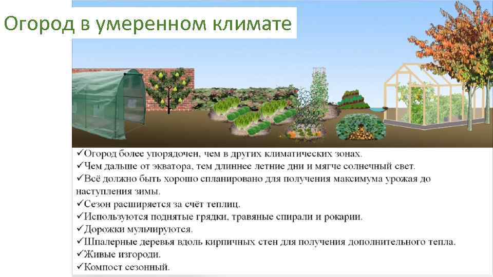 Огород в умеренном климате 