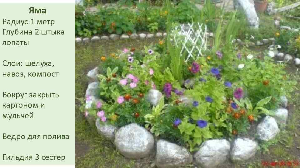 Яма Радиус 1 метр Глубина 2 штыка лопаты Слои: шелуха, навоз, компост Вокруг закрыть