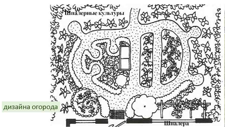 дизайна огорода 