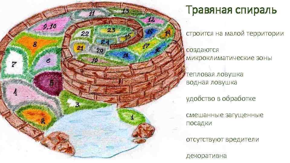 Травяная спираль строится на малой территории создаются микроклиматические зоны тепловая ловушка водная ловушка удобство