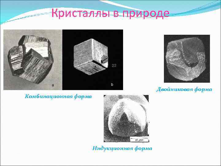 Кристаллы в природе Двойниковая форма Комбинационная форма Индукционная форма 