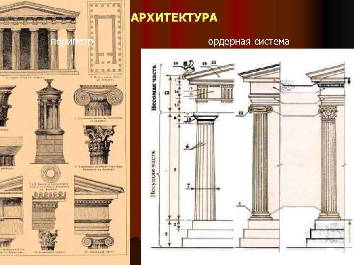 АРХИТЕКТУРА перипетр ордерная система 