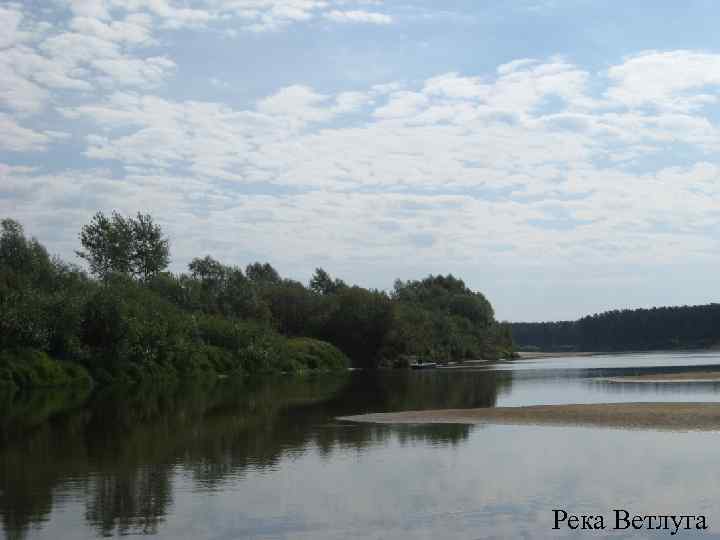 Река Ветлуга 