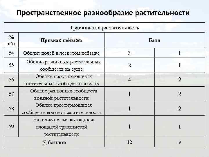 Пространственное разнообразие растительности Травянистая растительность № п/п Признак пейзажа 54 Обилие полей в лесистом