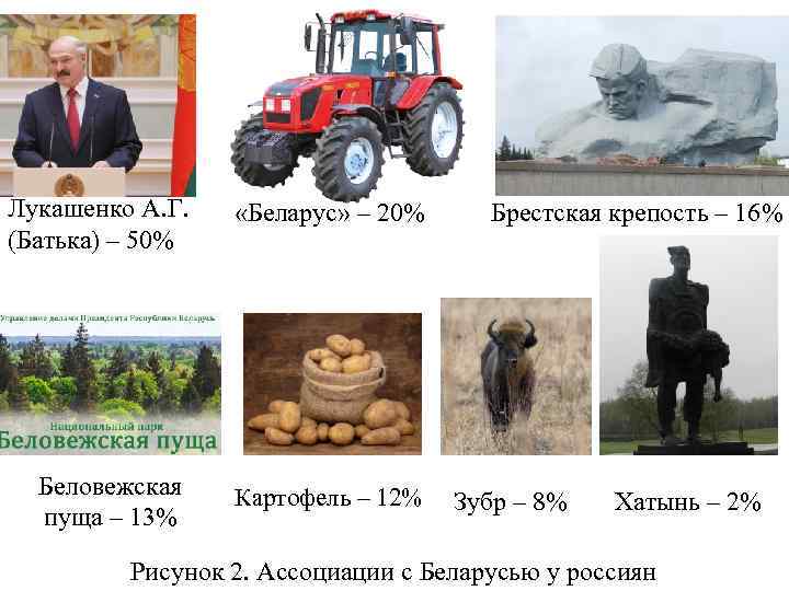 Лукашенко А. Г. (Батька) – 50% «Беларус» – 20% Беловежская пуща – 13% Картофель