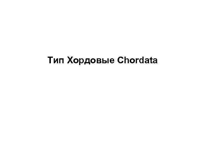 Тип Хордовые Chordata 