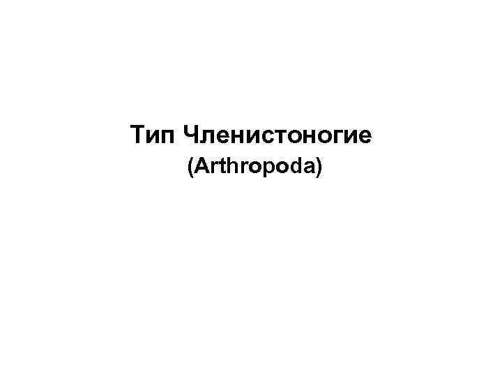 Тип Членистоногие (Arthropoda) 