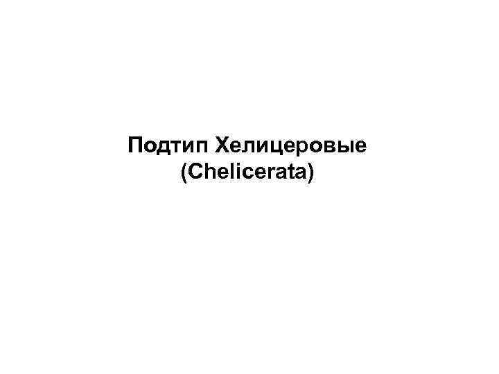 Подтип Хелицеровые (Chelicerata) 