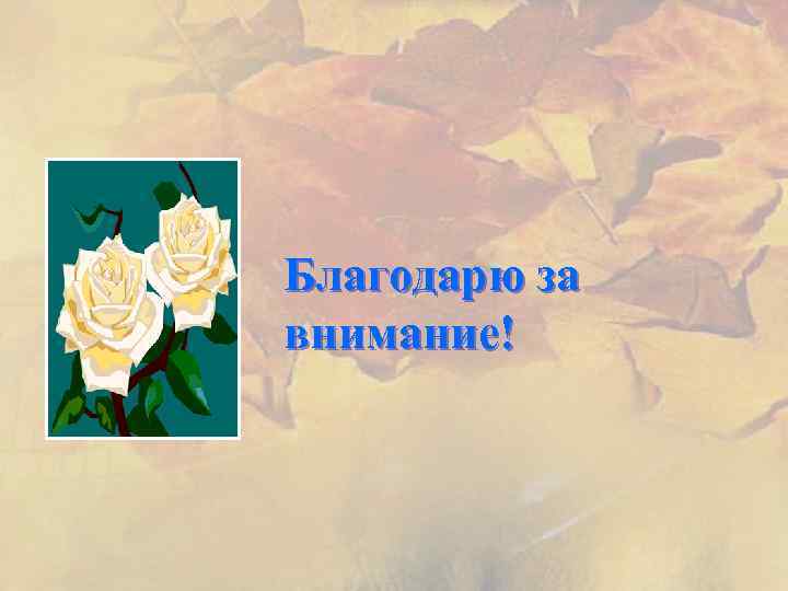 Благодарю за внимание! 