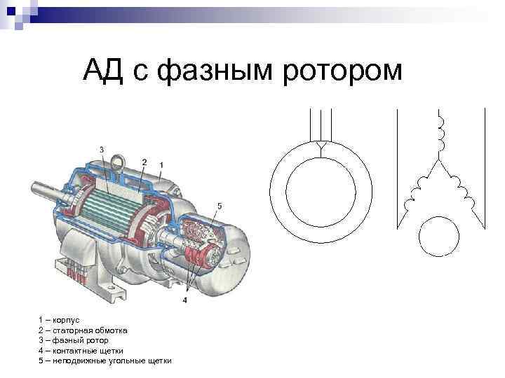 Схема асинхронной машины с короткозамкнутым ротором