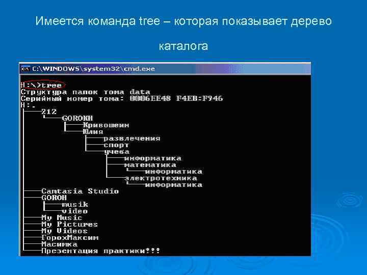 В корневом диске с помощью командной строки создать дерево каталогов как показано на рисунке